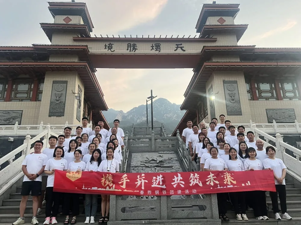 团队
